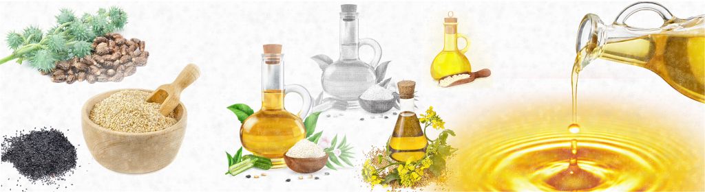 Oilseeds and Oil
