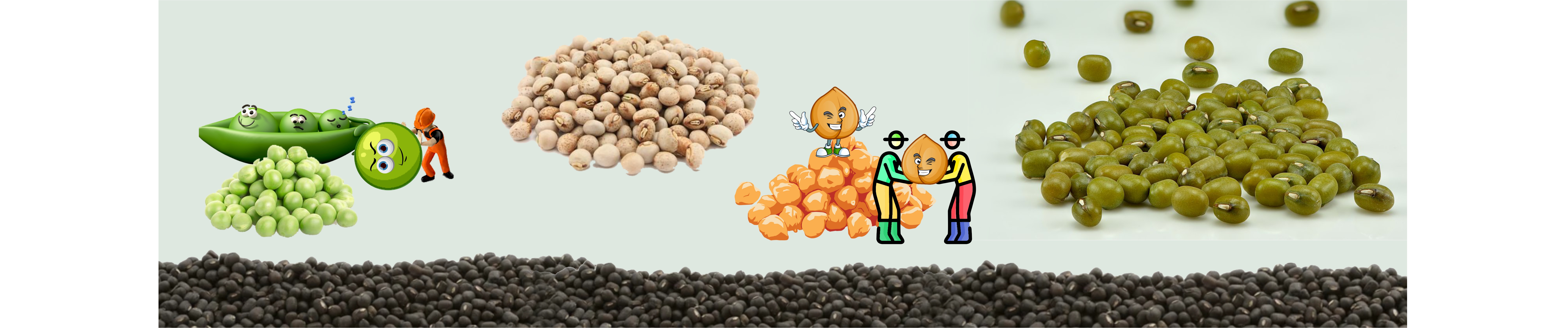 Pulses