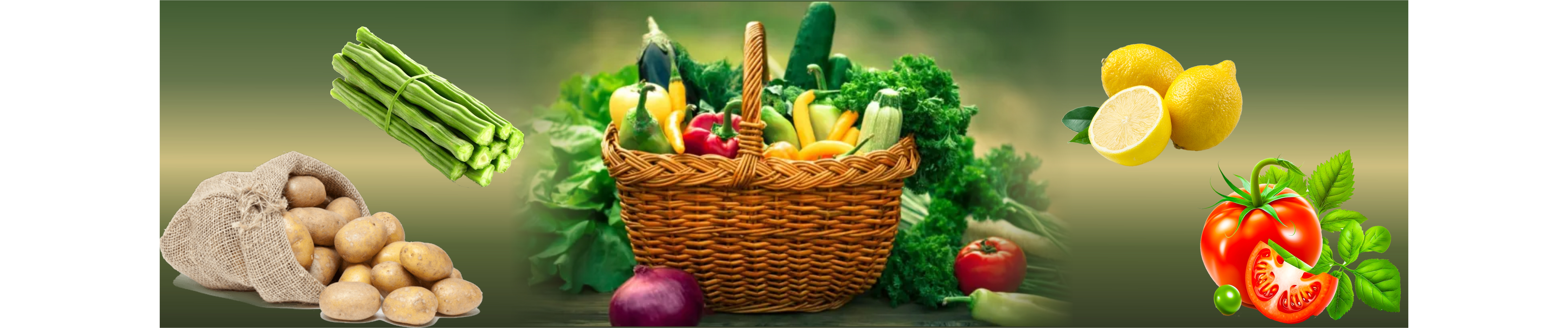 Fresh Vegetables