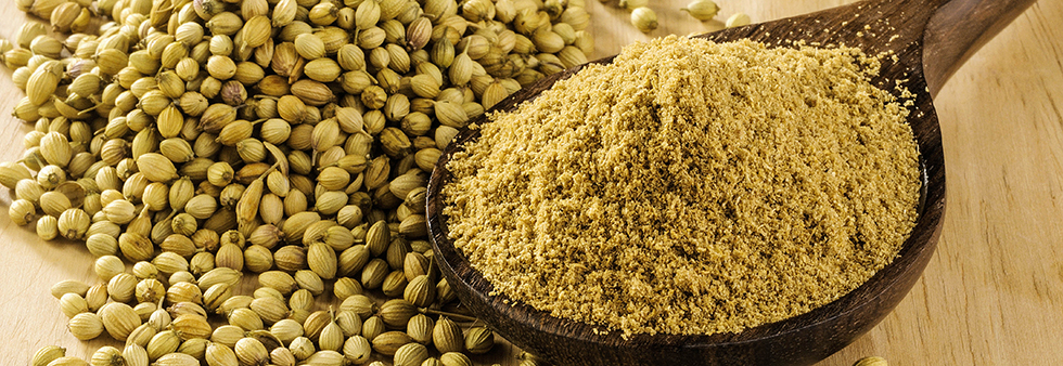 Coriander powder