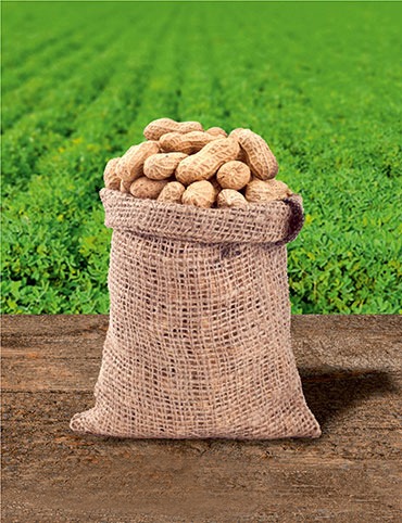 With-in Shell Peanuts