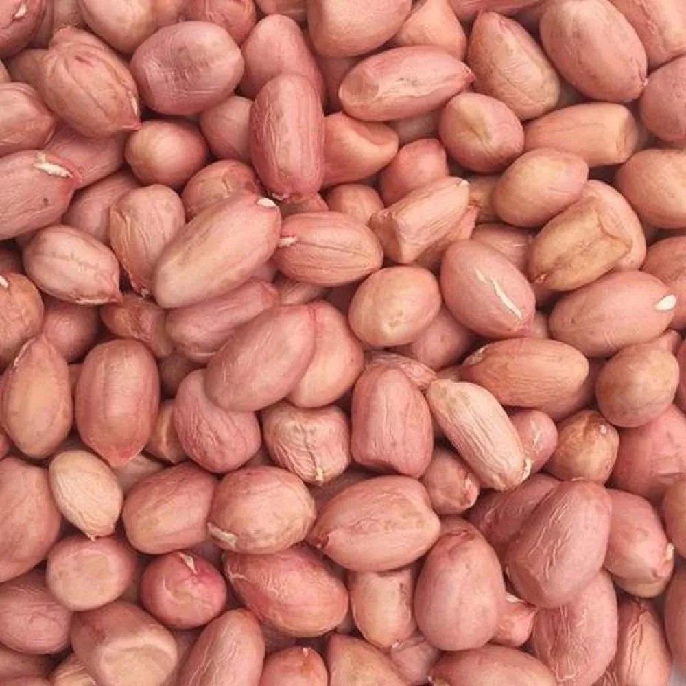 Bold Peanuts