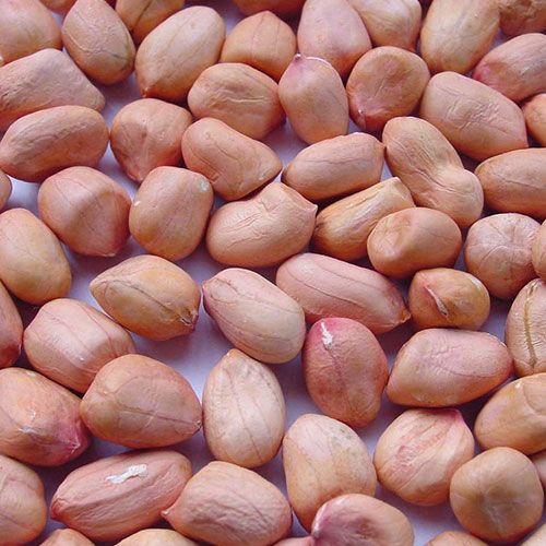 Java Peanuts