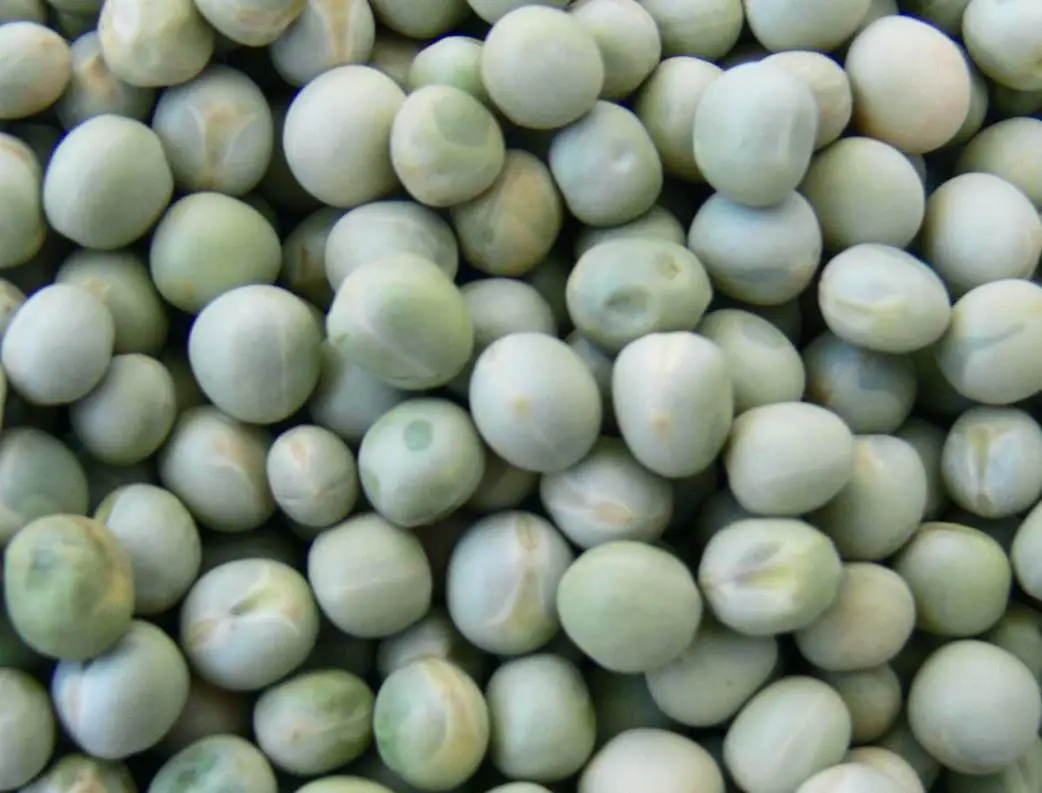 Green Peas